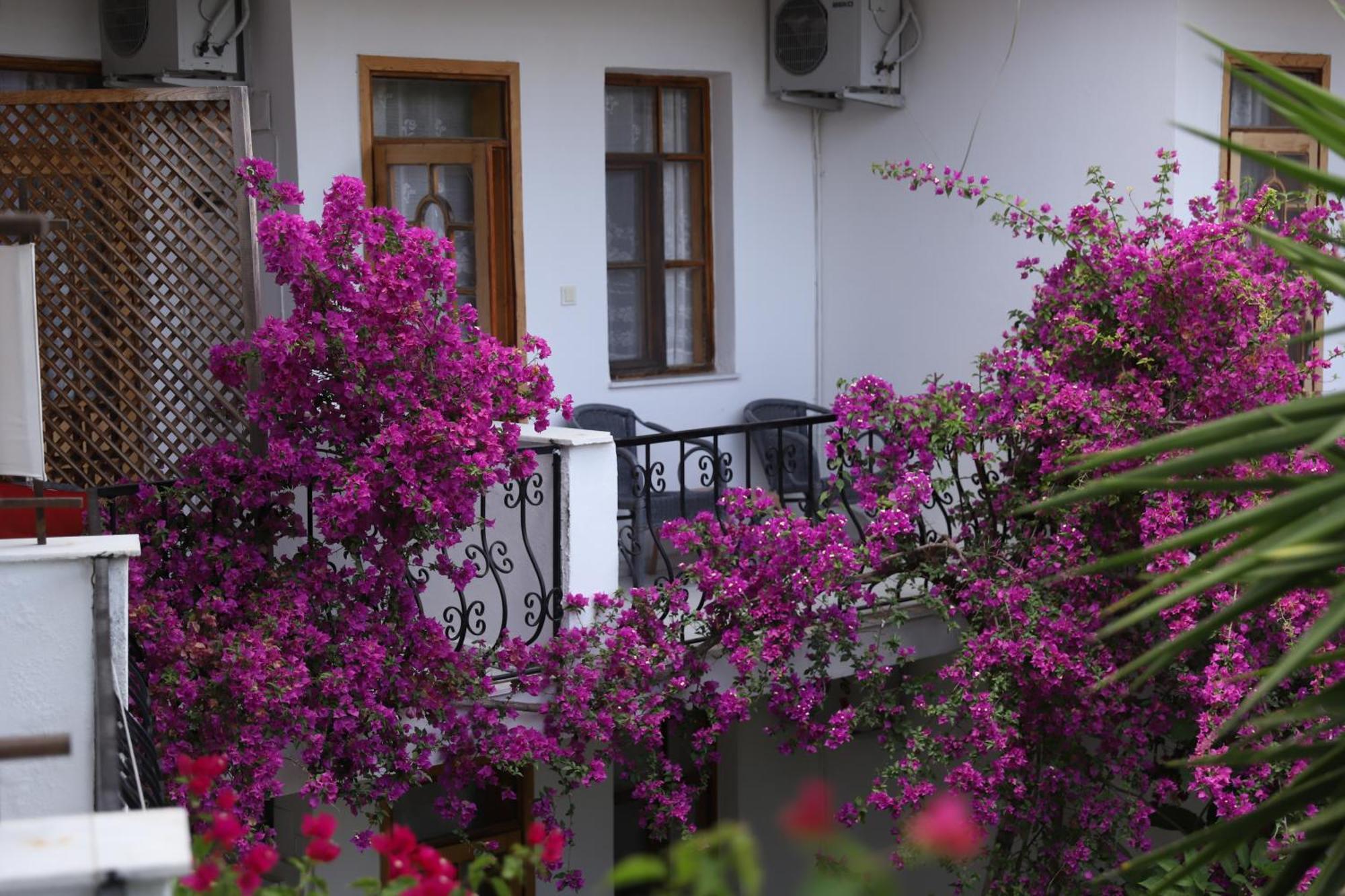 Garden Bloom Hotel Dalyan Exterior foto