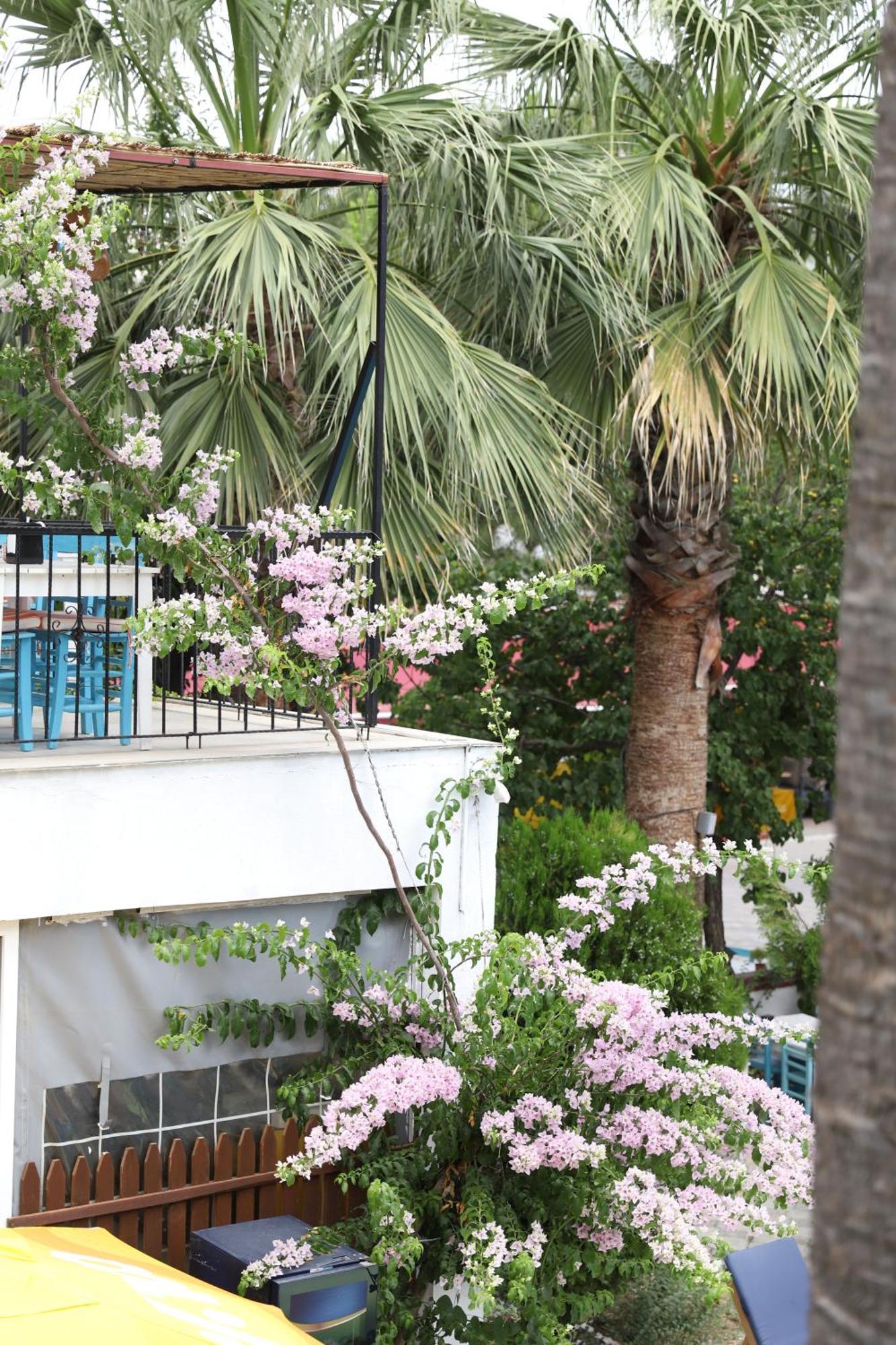 Yeni Doga Hotel Dalyan Exterior foto